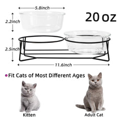 MUZITY raised pet bowls set designed for comfortable dining and drinking.