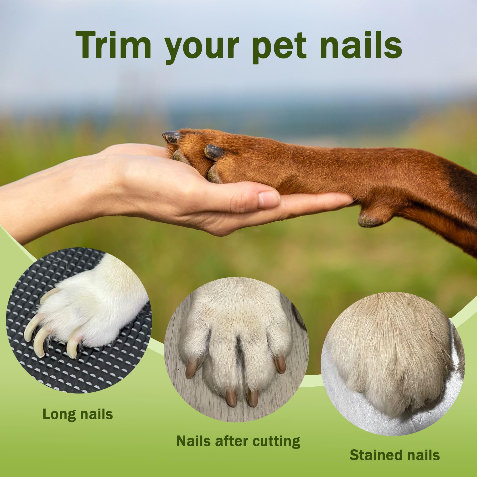 MUZMDNI all-in-one grooming kit supports versatile pet nail care