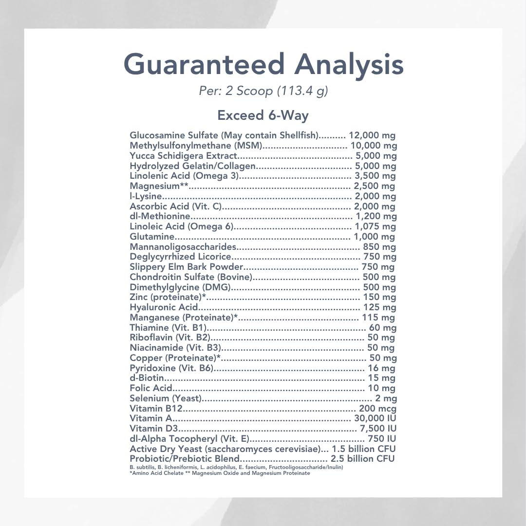 MVP Exceed 6-Way digestion shot emphasizes gut-friendly routine