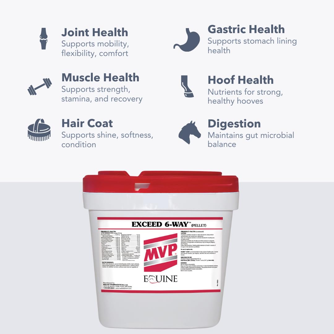 MVP Exceed 6-Way gastric-comfort visual hints at gentler digestion routine