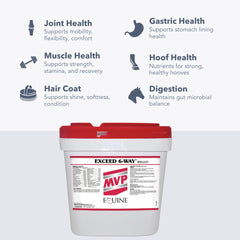 MVP Exceed 6-Way gastric-comfort visual hints at gentler digestion routine