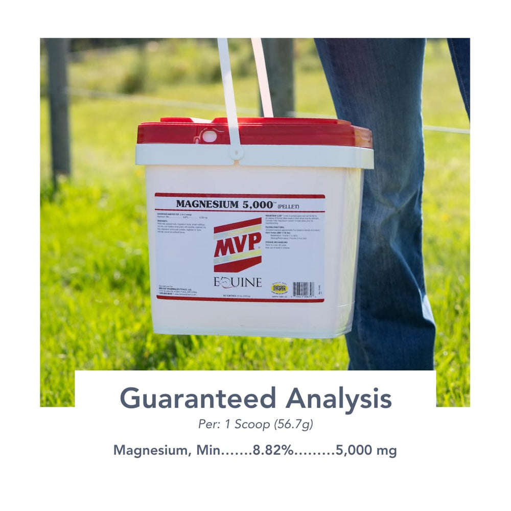 MVP Magnesium 5000 ingredients highlight minerals that may support activity and routine movement.
