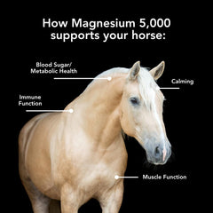 MVP Magnesium 5000 pellets serving demonstrates daily dosage for horse metabolism support.
