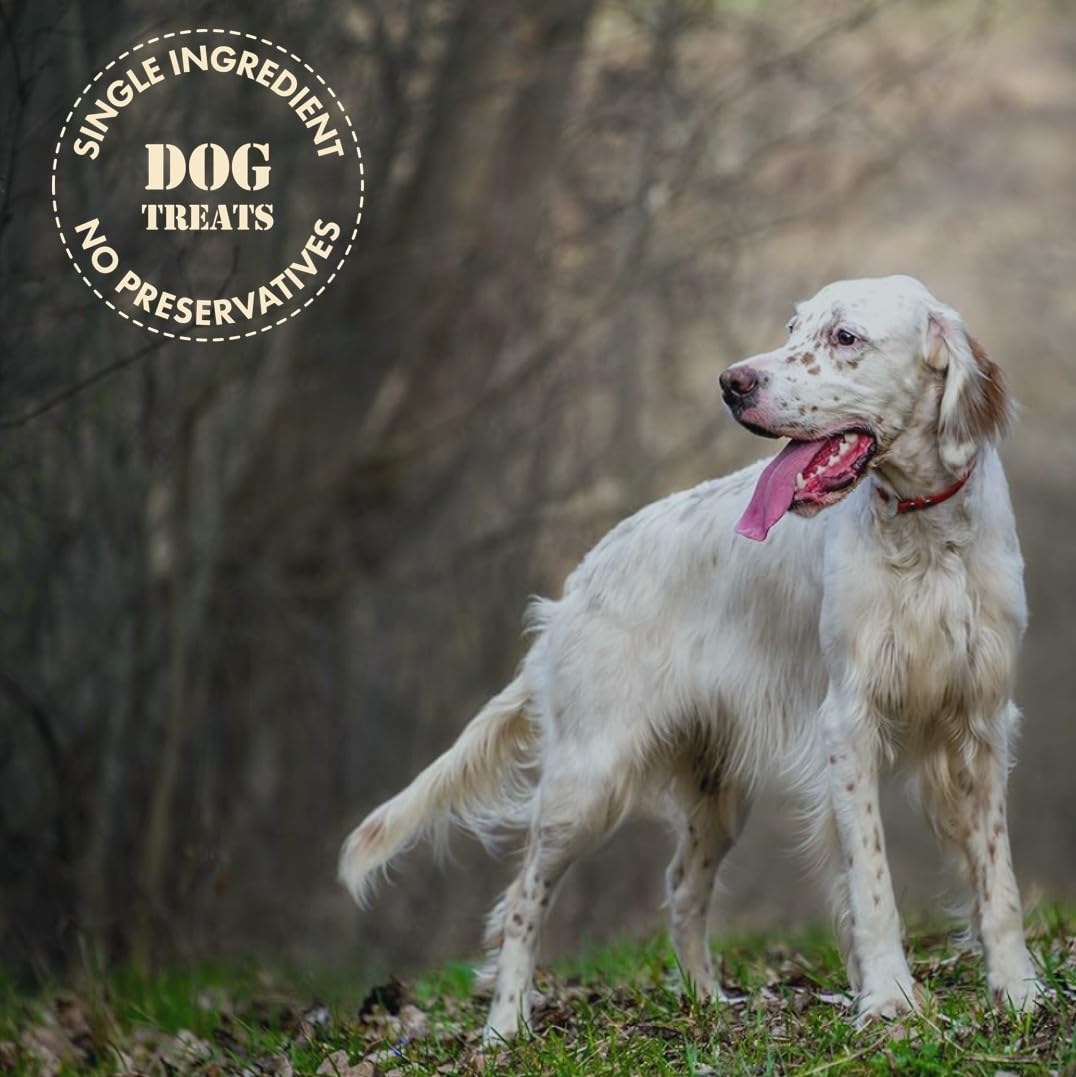 MVPChews gluten-free dog treats suitable for grain-free diets.
