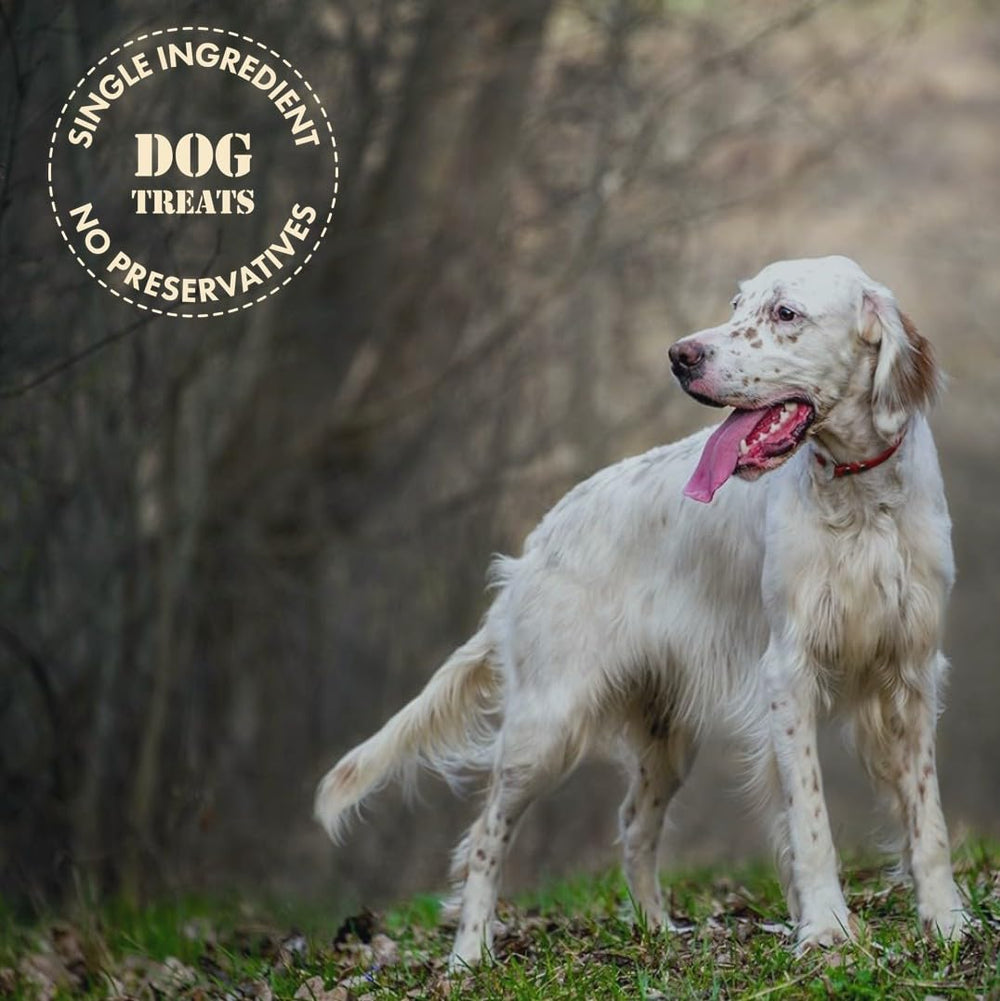 MVPChews gluten-free dog treats suitable for grain-free diets.