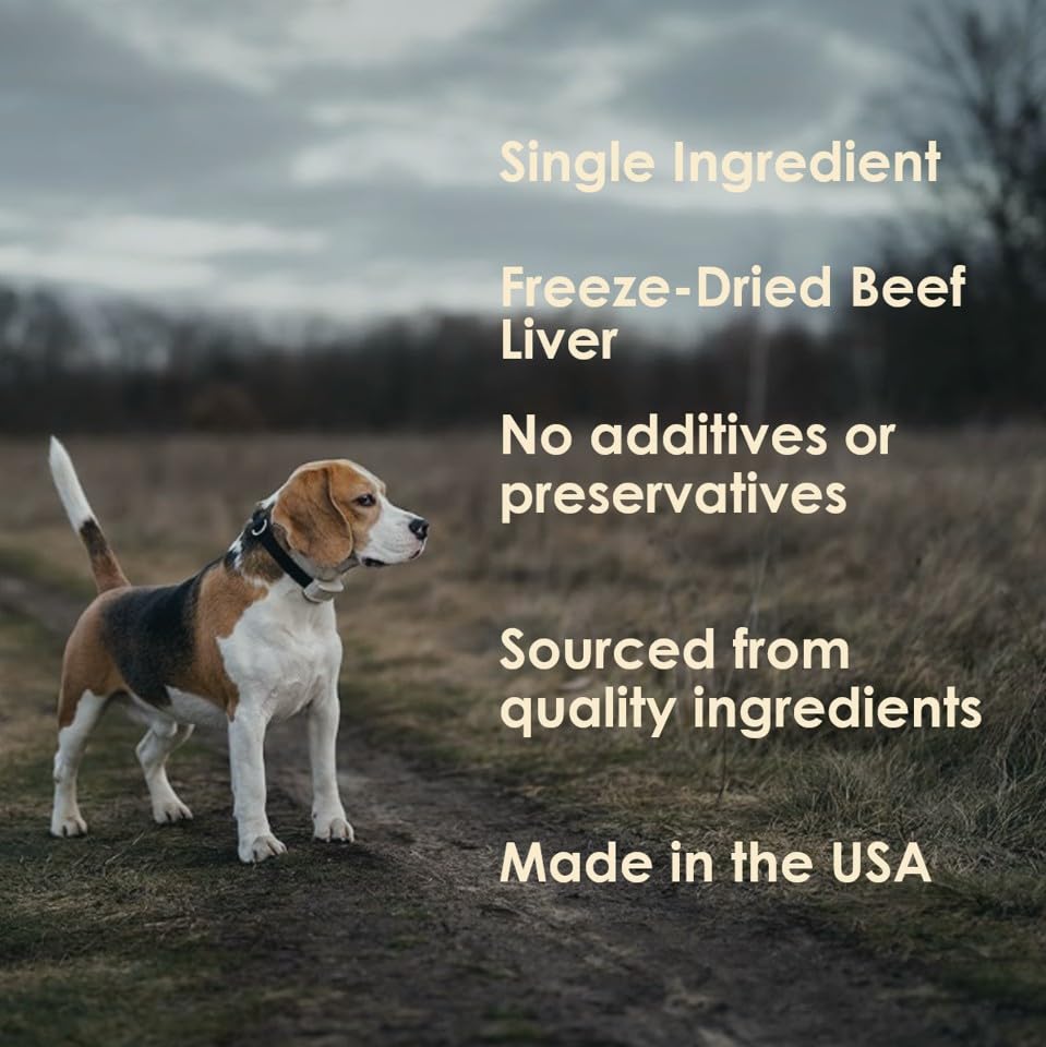 MVPChews high-protein dog treats designed to support active dogs during workouts.