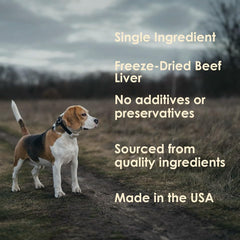 MVPChews high-protein dog treats designed to support active dogs during workouts.