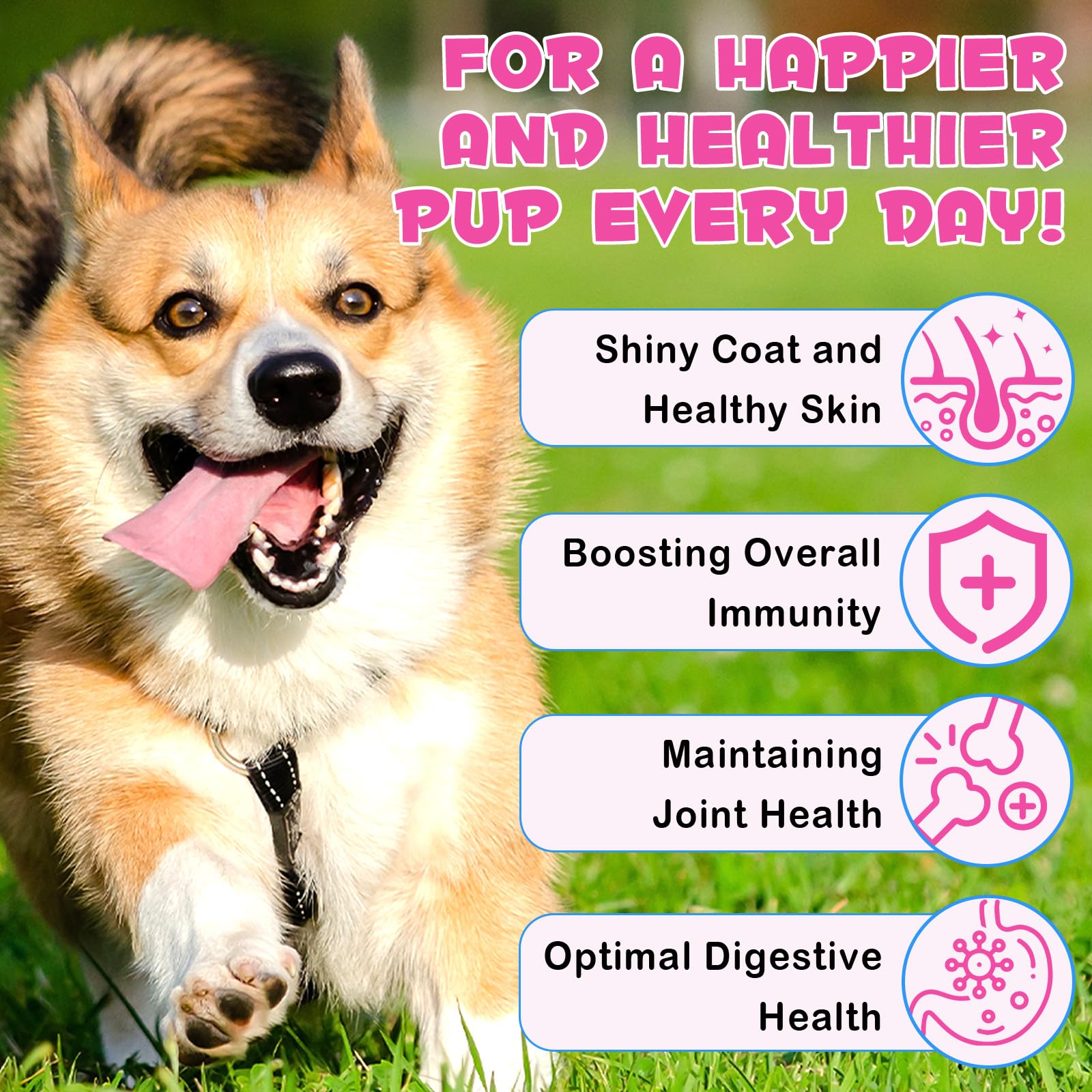 MXCZBSM dog collagen drops measuring cap for easy dosing