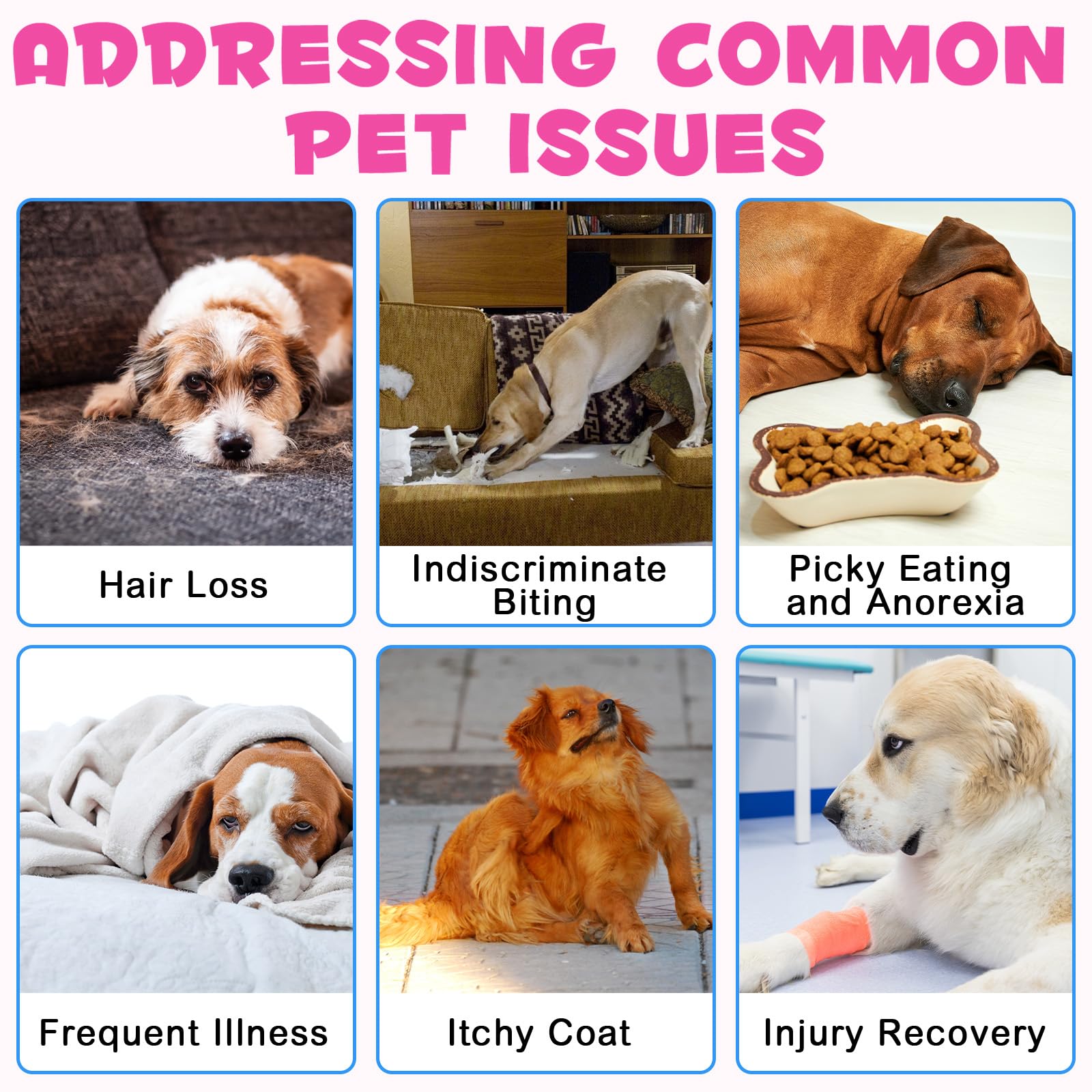 MXCZBSM dog collagen drops ginger piece signals digestive comfort