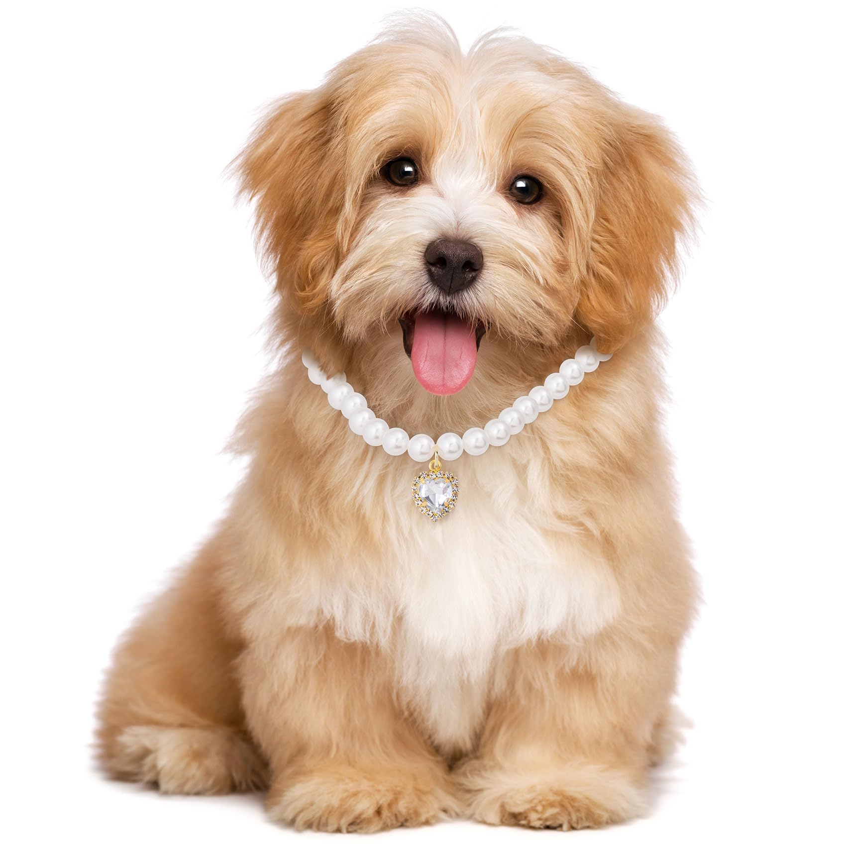 Mxxipp pet collar styled for weddings and parties, elevating pet accessories with elegant shine