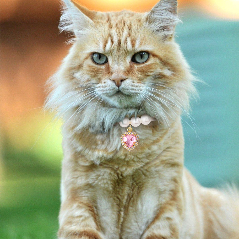 Mxxipp two-pcs color-pack highlights white and pink options for versatile pet styling