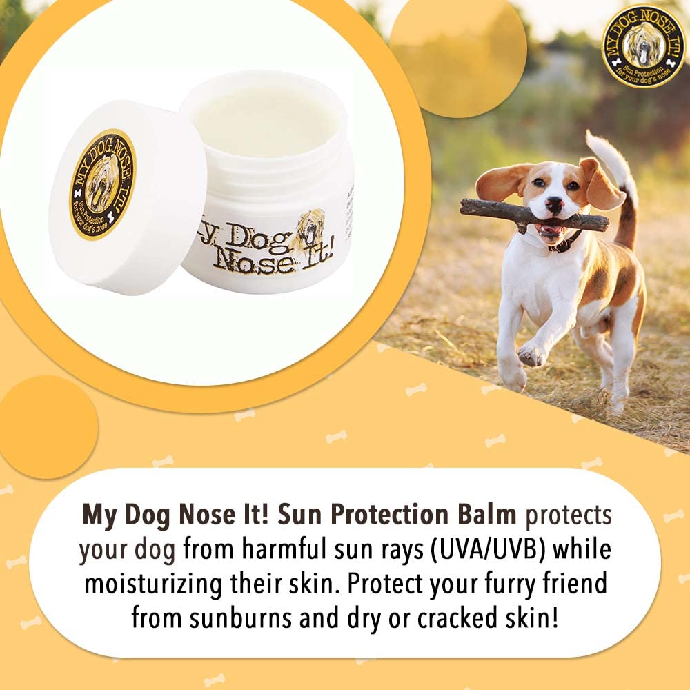 Closeup of applying My Dog Nose It balm to a dog's nose.