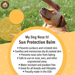 Outdoor beach scene with My Dog Nose It sun protection in use.