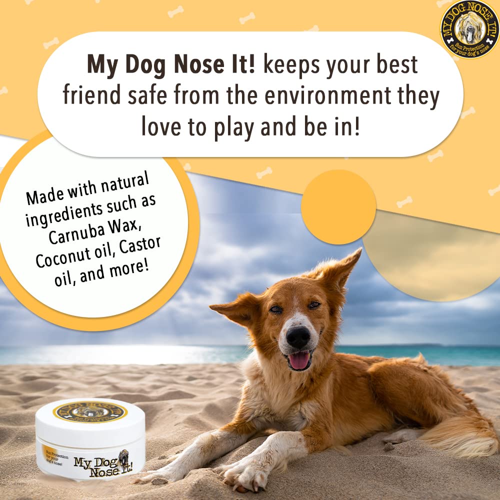 My Dog Nose It balm applied to a dog's paw for water-resistant protection.