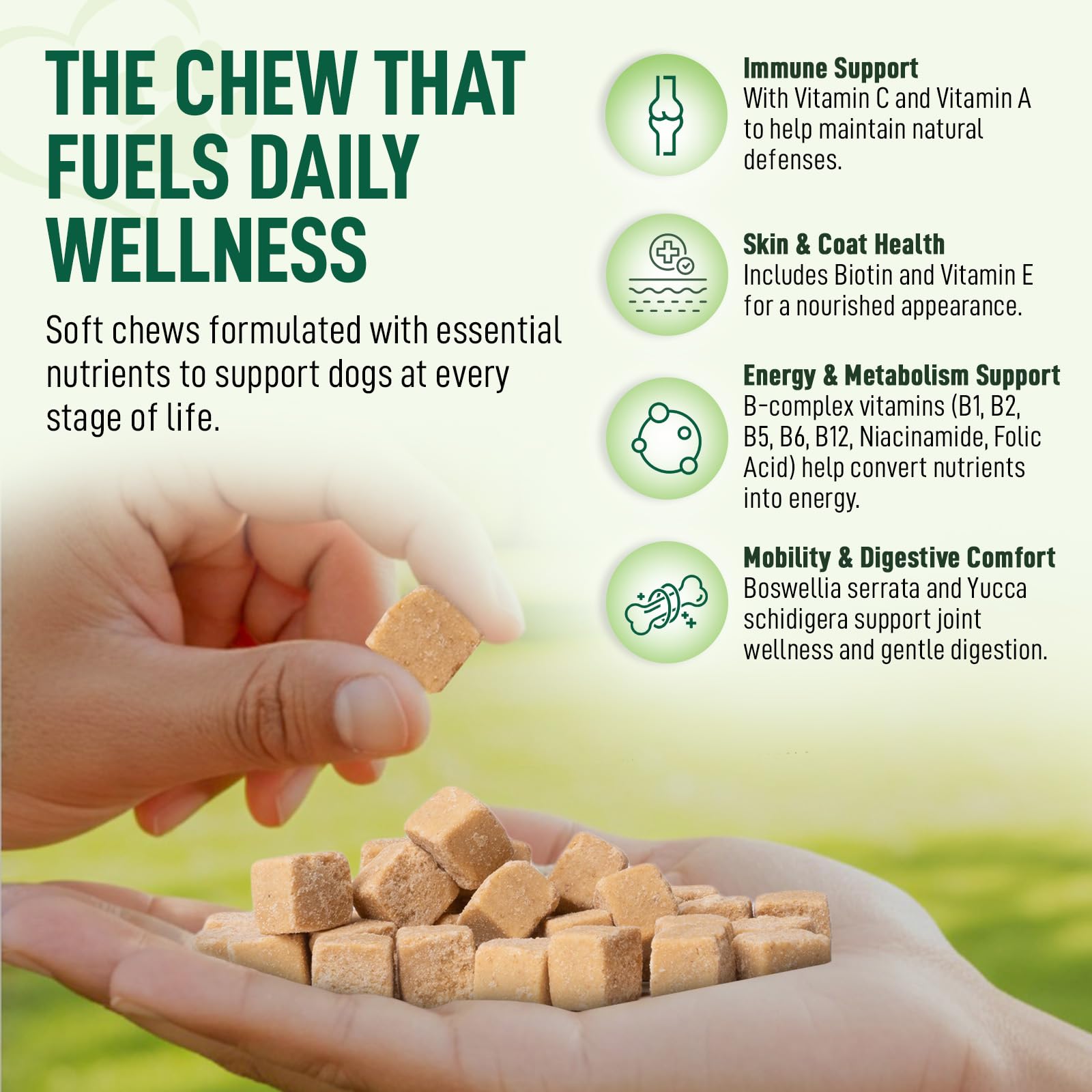 My Dog Sanctuary 14in1 multivitamin chews closeup highlights bacon flavor and palatability.