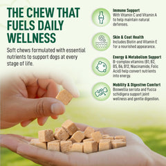 My Dog Sanctuary 14in1 multivitamin chews closeup highlights bacon flavor and palatability.