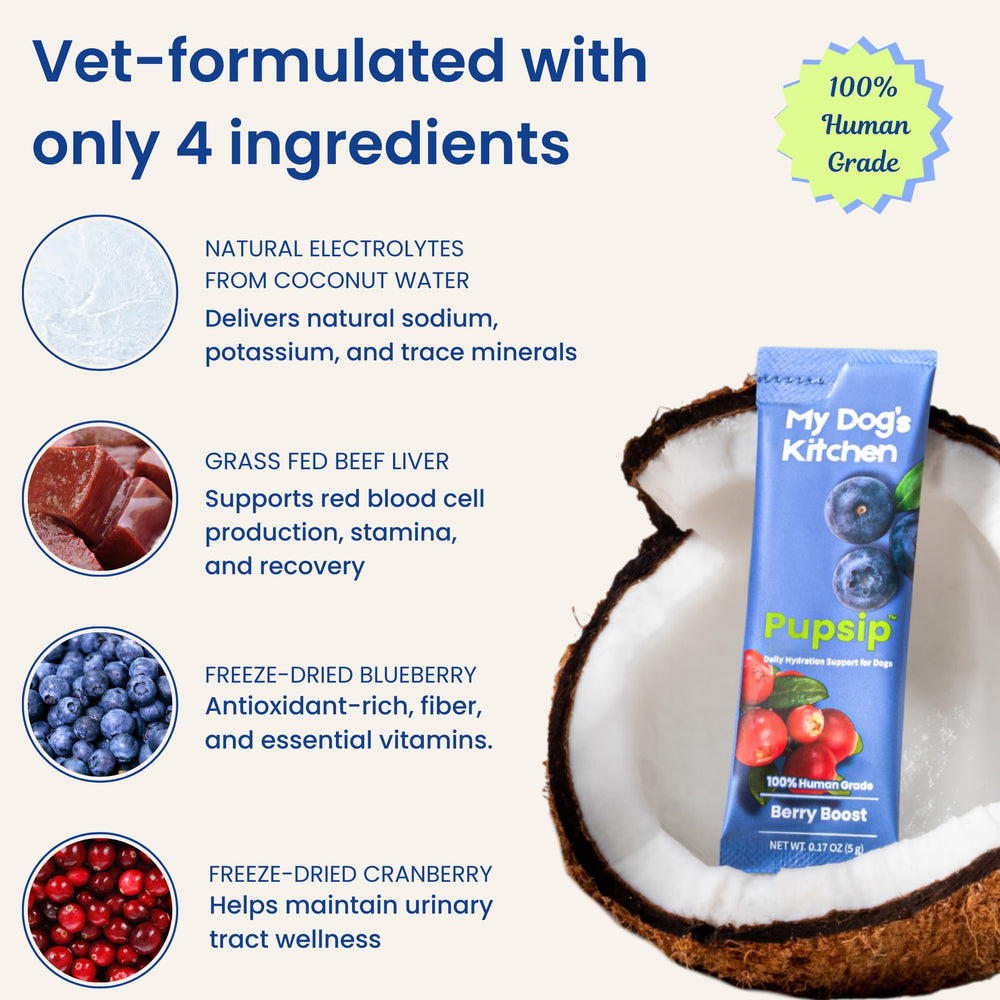 My Dog's Kitchen PupSip bowl and water scene highlighting flavorful hydration for dogs