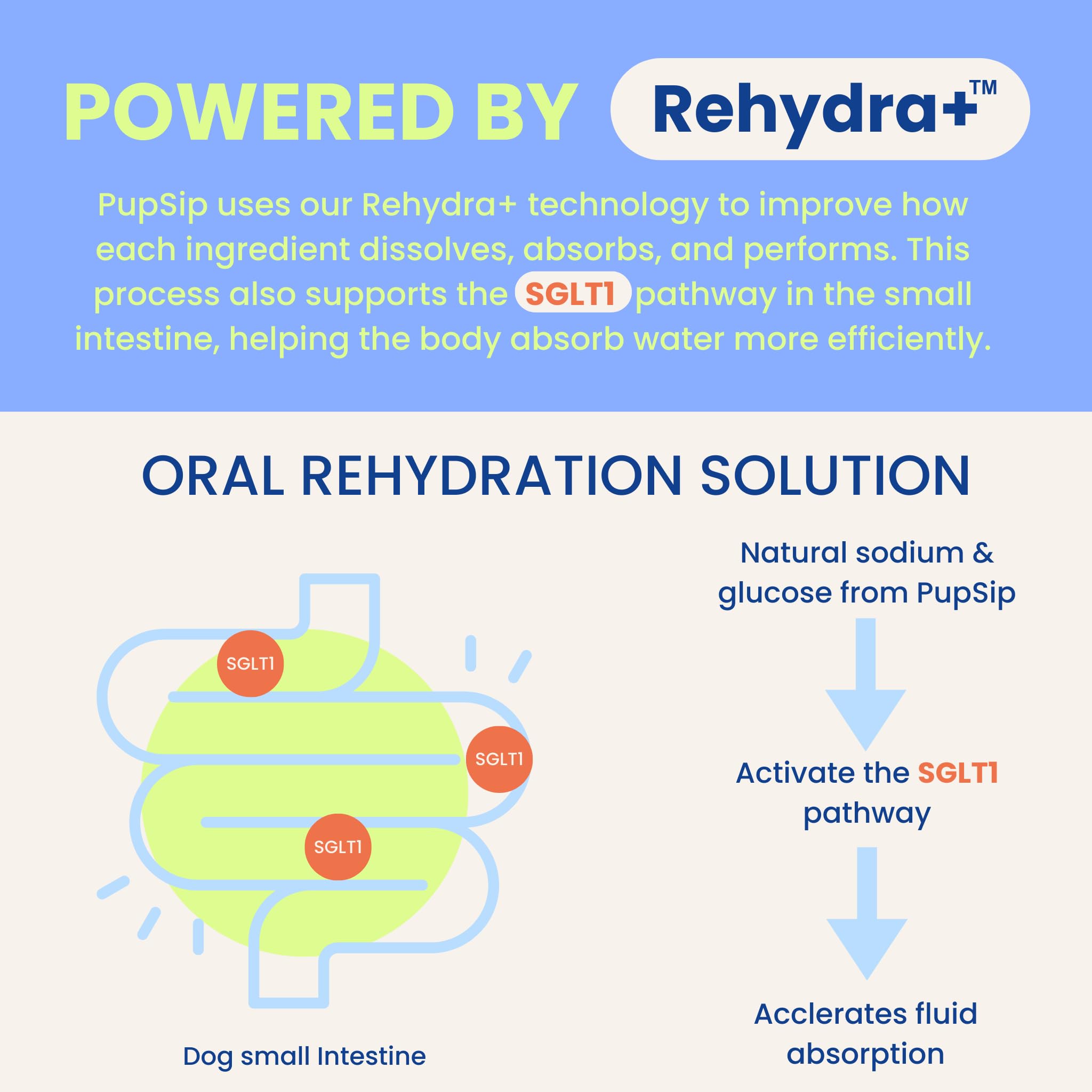 My Dog's Kitchen PupSip closeup powder to help hydration balance