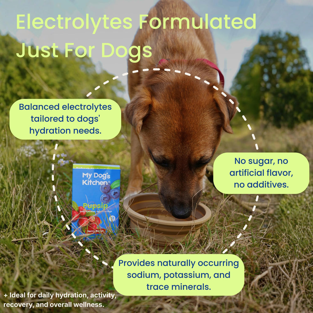 My Dog's Kitchen PupSip sticks Berry for quick on-the-go electrolyte hydration