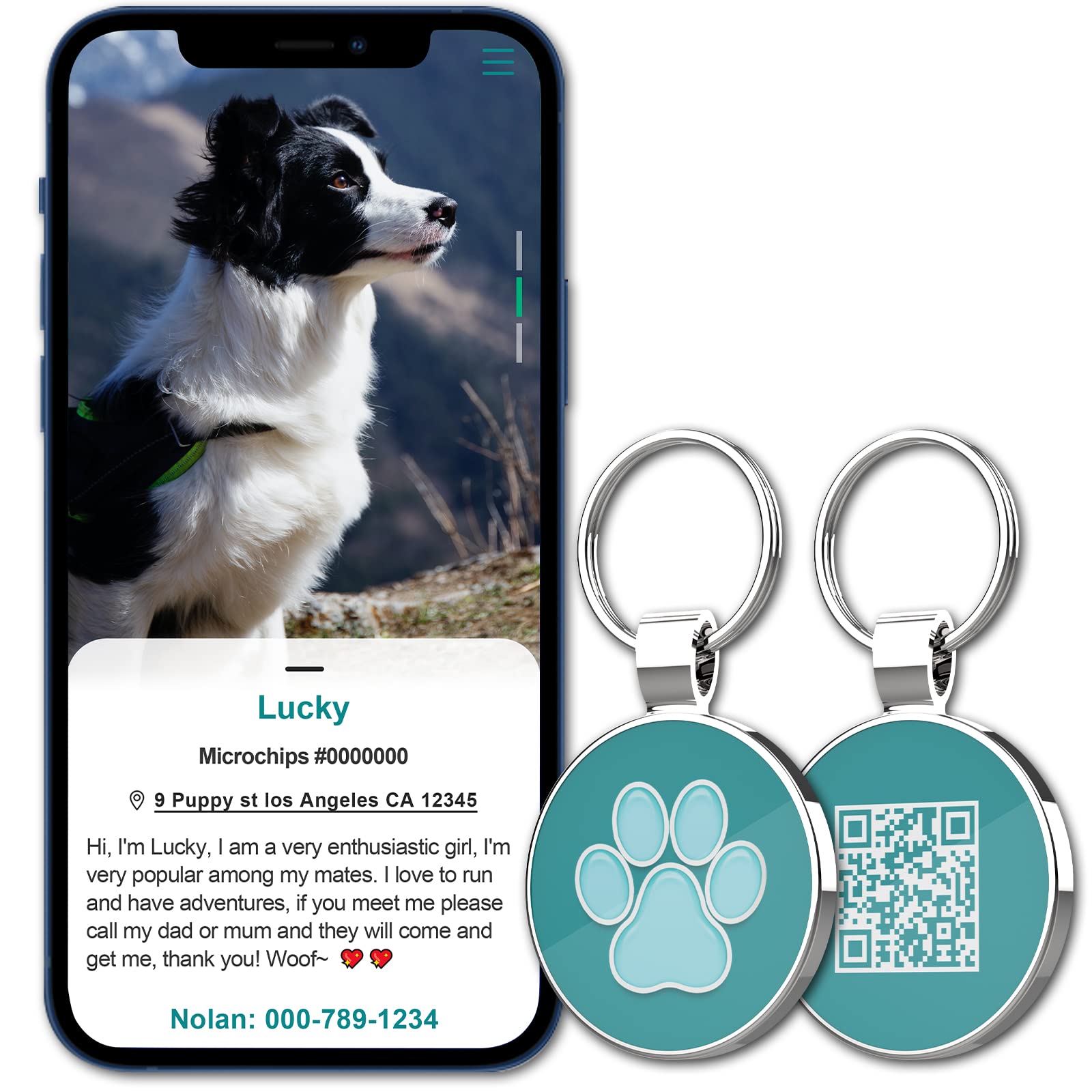 MYLUCKYTAG no-app-needed setup makes tagging simple for pet families