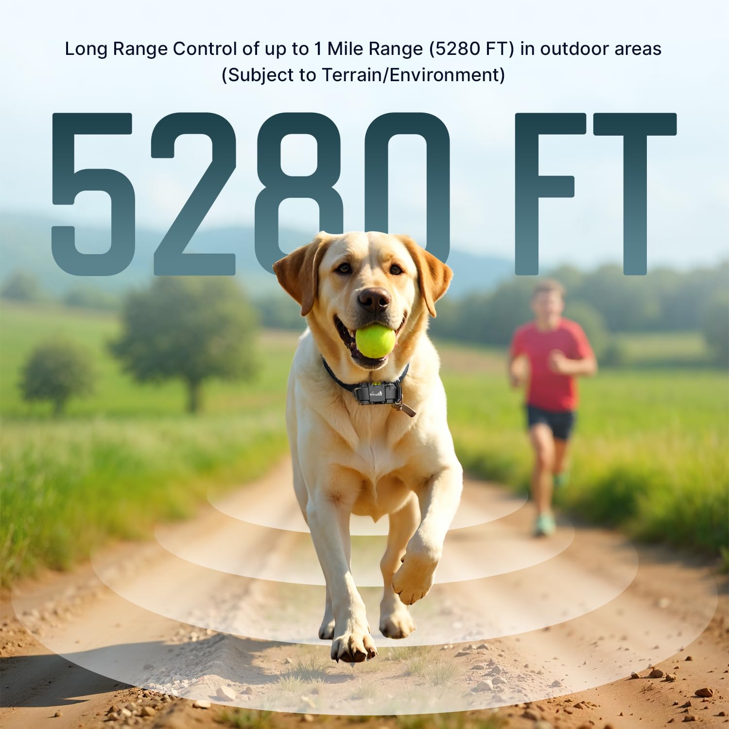 My Pet Command dual-collar kit supports training two dogs with one remote.