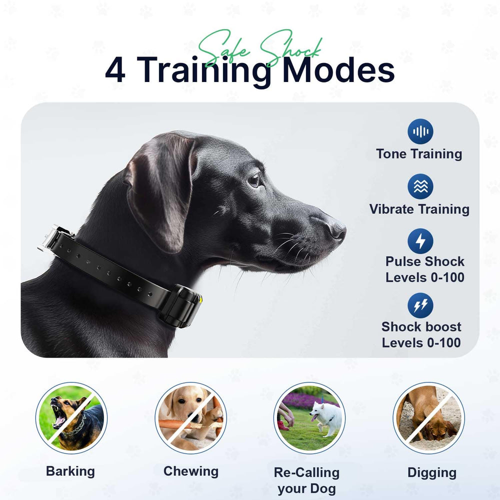 My Pet Command waterproof dog collar remains reliable in wet outdoor conditions.