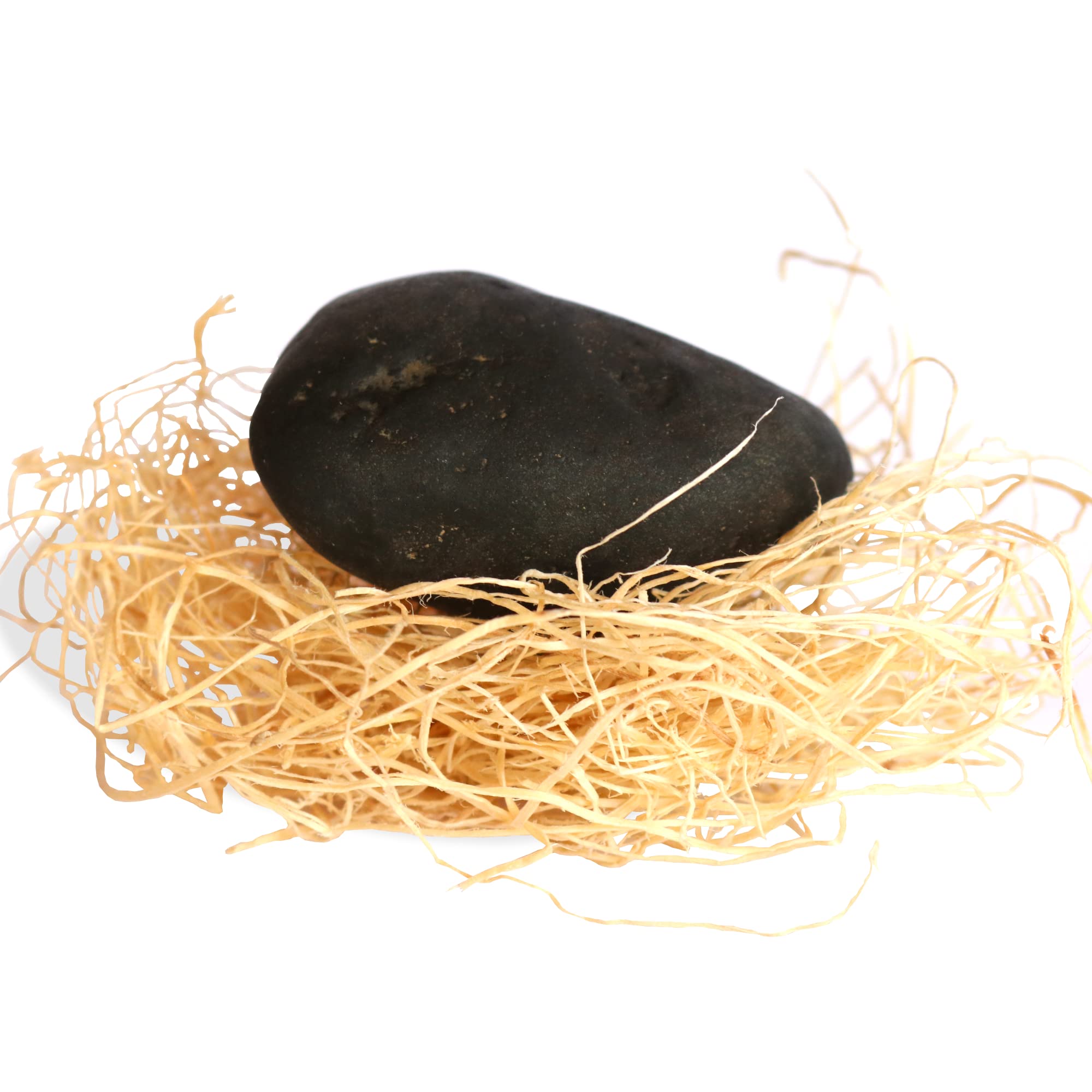 My Pet Elephant Rock Buddy bedding set provides cozy nap-time comfort.