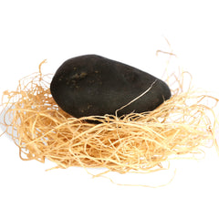 My Pet Elephant Rock Buddy bedding set provides cozy nap-time comfort.