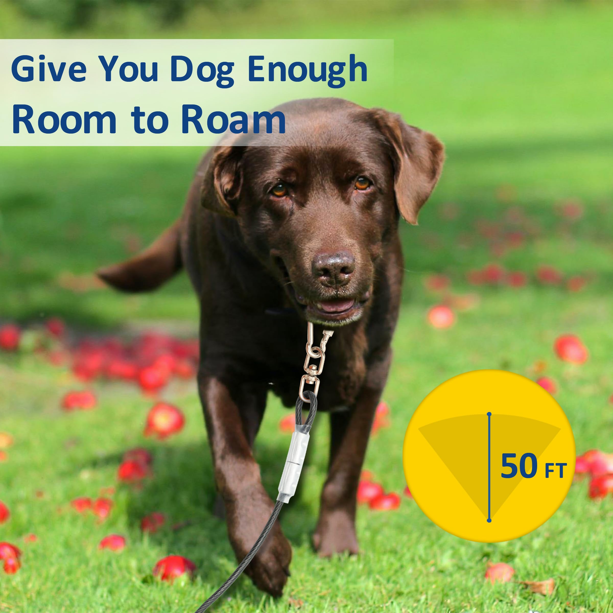MYAXBD dog tie out 50ft yard-use model supports safe outdoor freedom for large dogs.