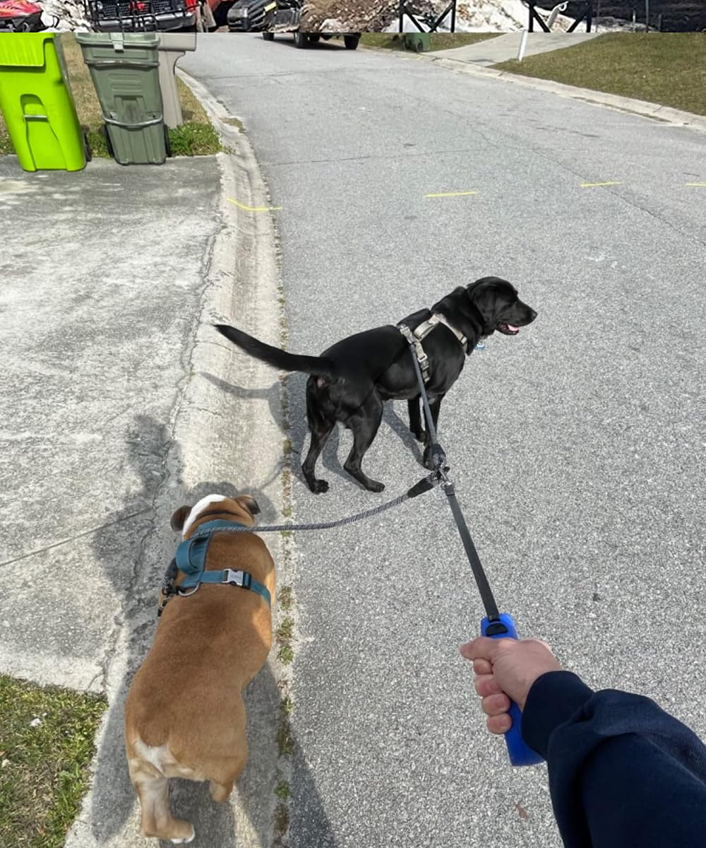 Mycicy 245g-weight coupler emphasizes sturdy construction for active dogs.