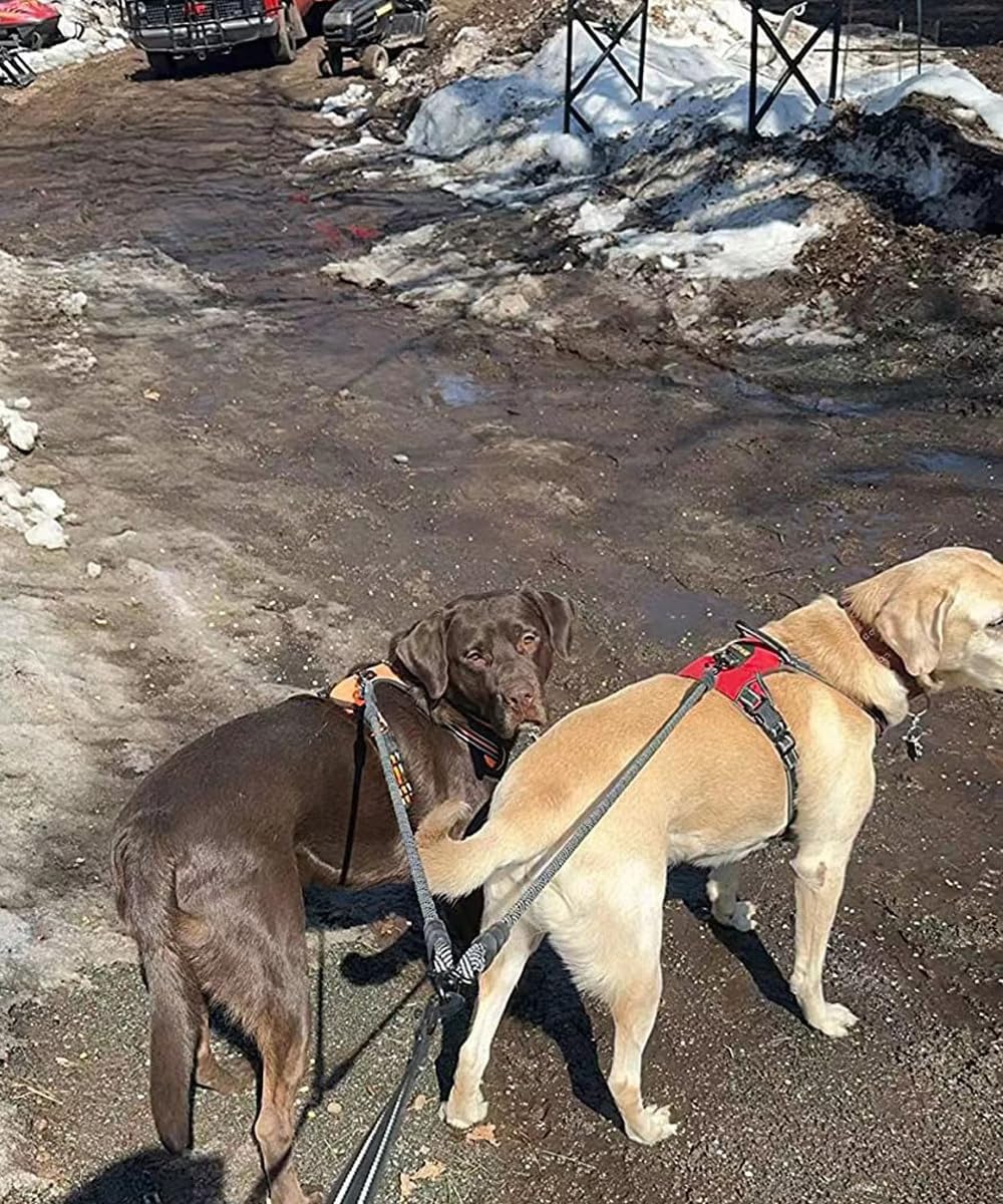 Mycicy 33-inch length ensures balanced reach during walks.