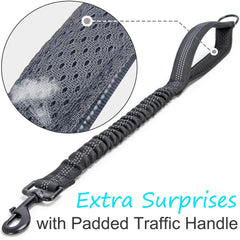 Mycicy bungee leash extender extends reach to soften sudden pulls on walks