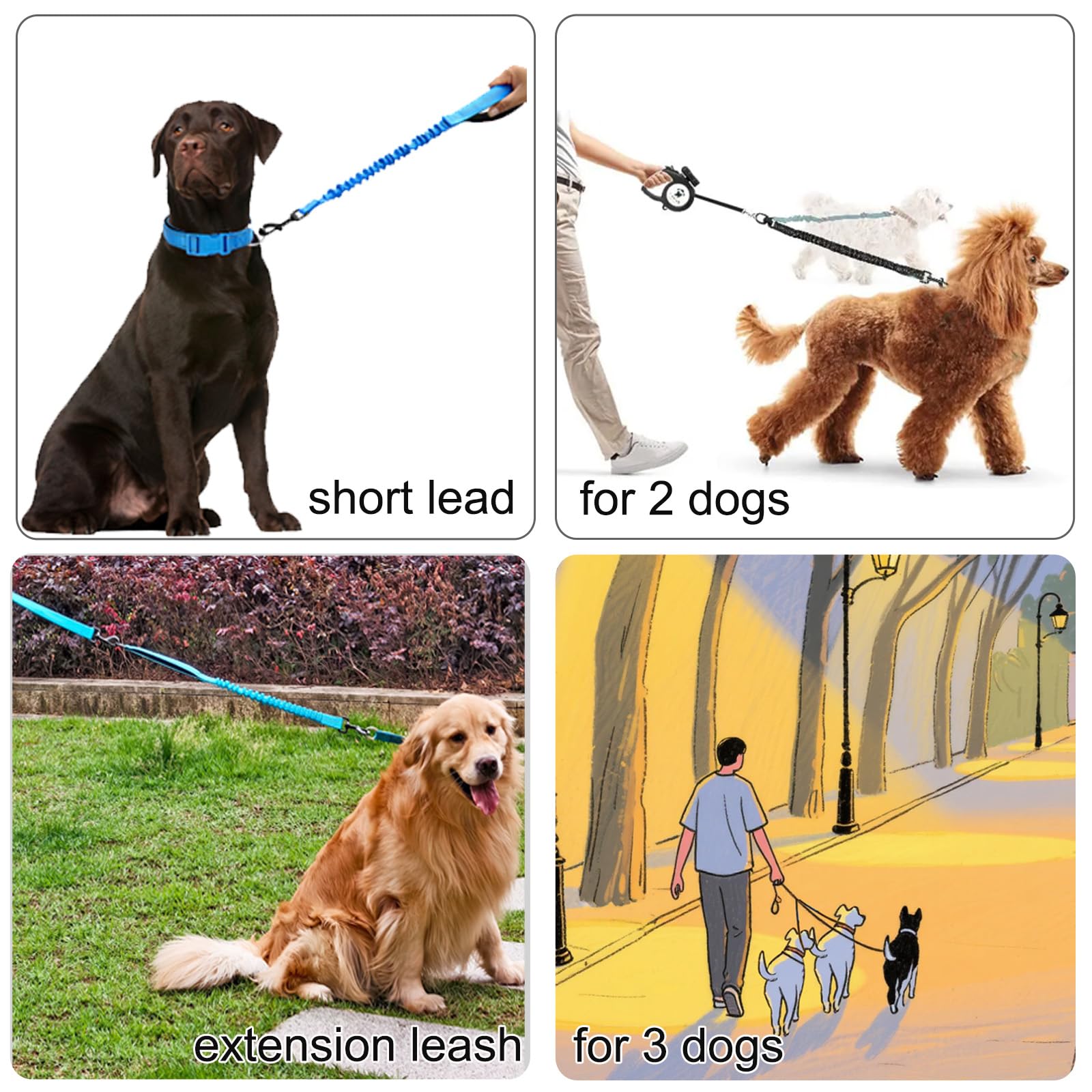 Mycicy bungee leash extender supports multi-dog walks when combined with extenders