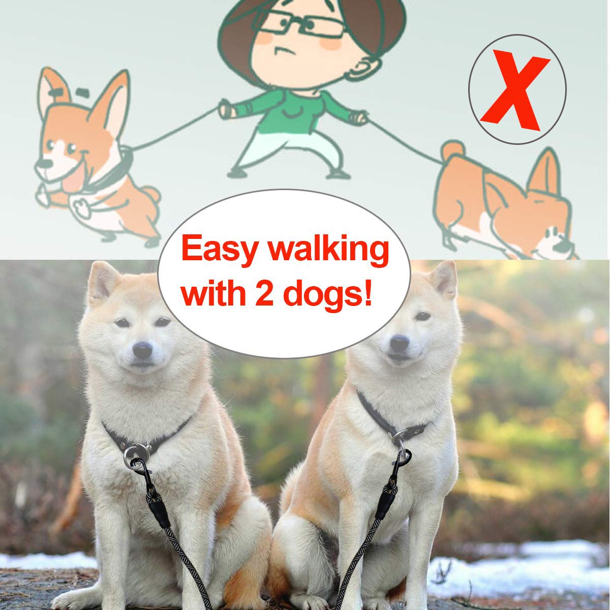 Mycicy double-leash setup offers calm, comfortable dog walking.