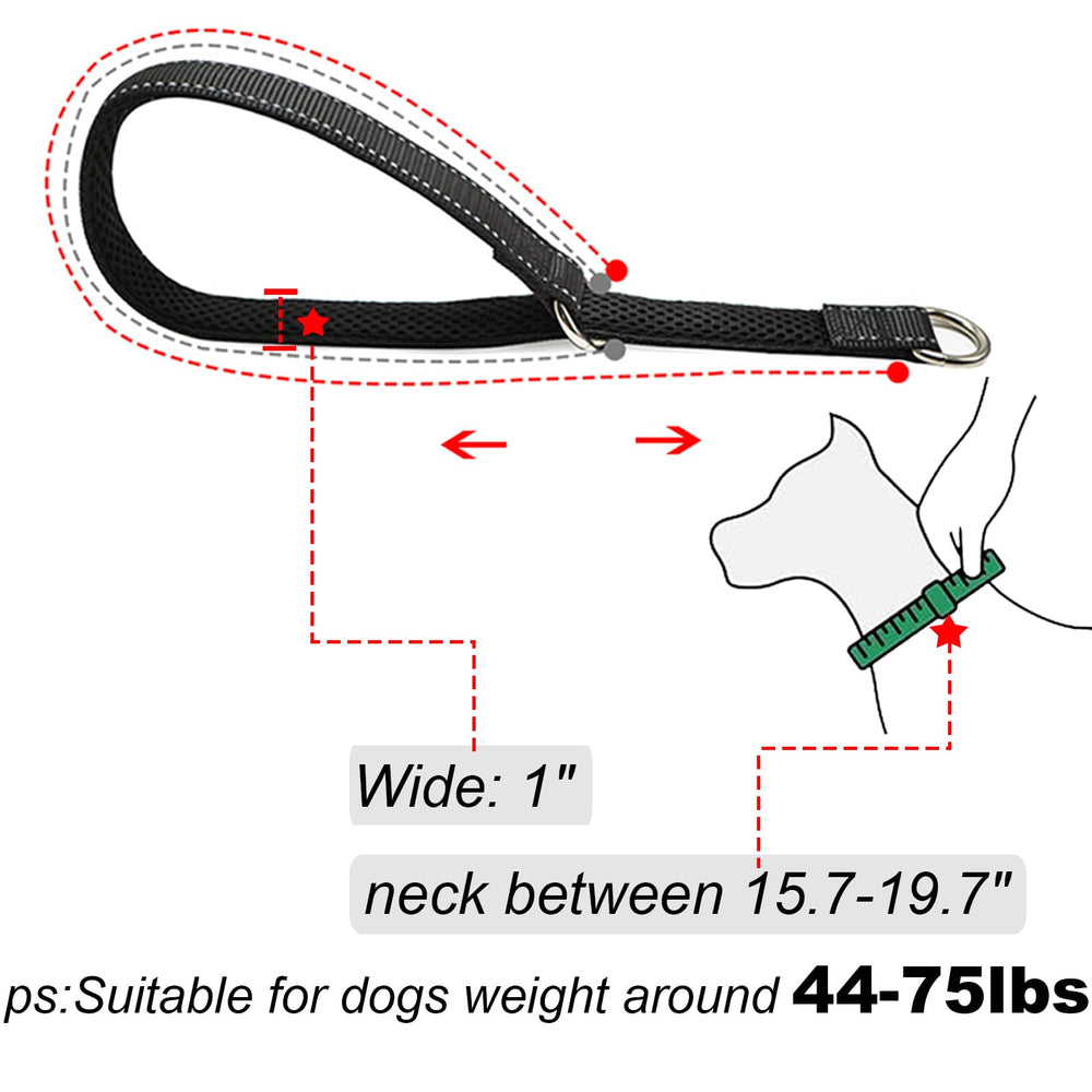 Mycicy no-pull training collar demonstrates controlled walking