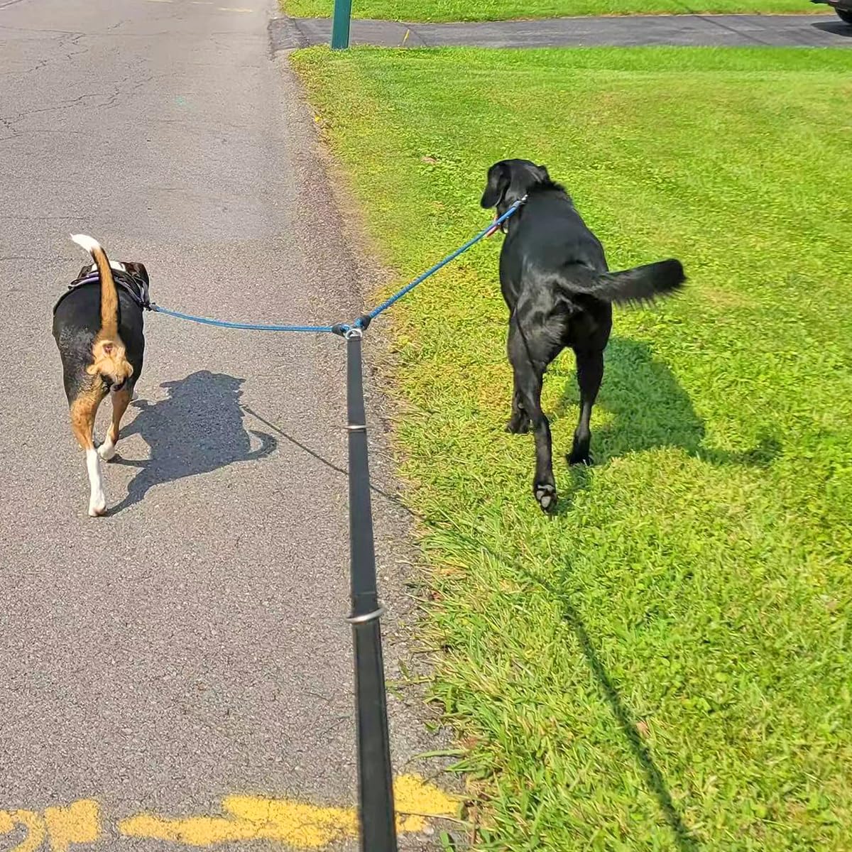 Mycicy strong dual-leash splitter supports large and medium dogs.