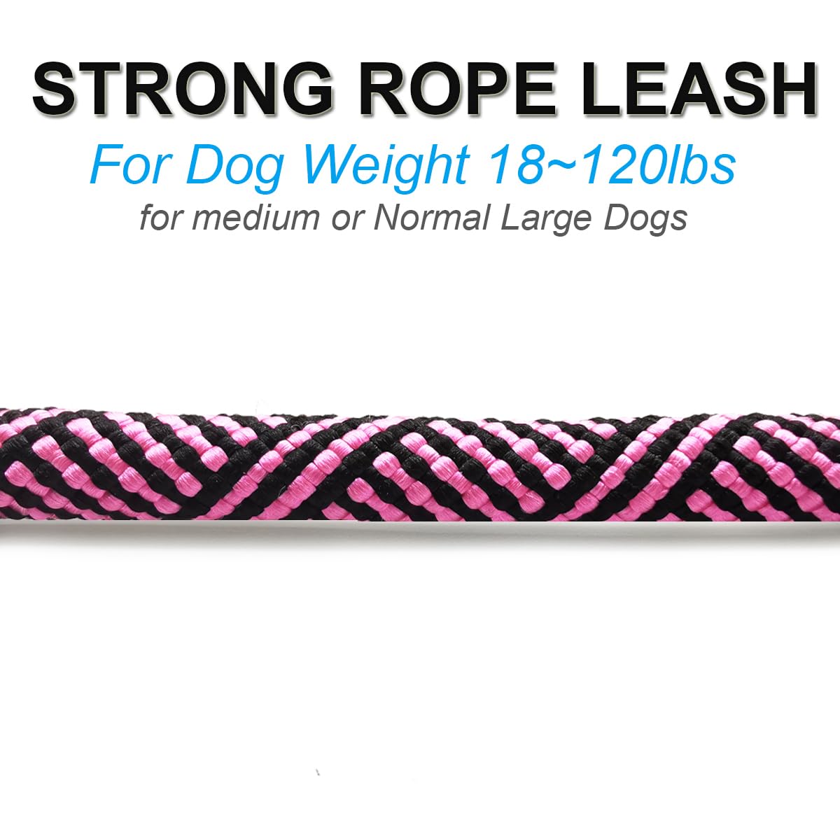 Mycicy traffic leash shown in a crowded urban setting with dog.