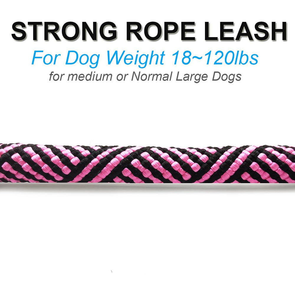 Mycicy traffic leash shown in a crowded urban setting with dog.