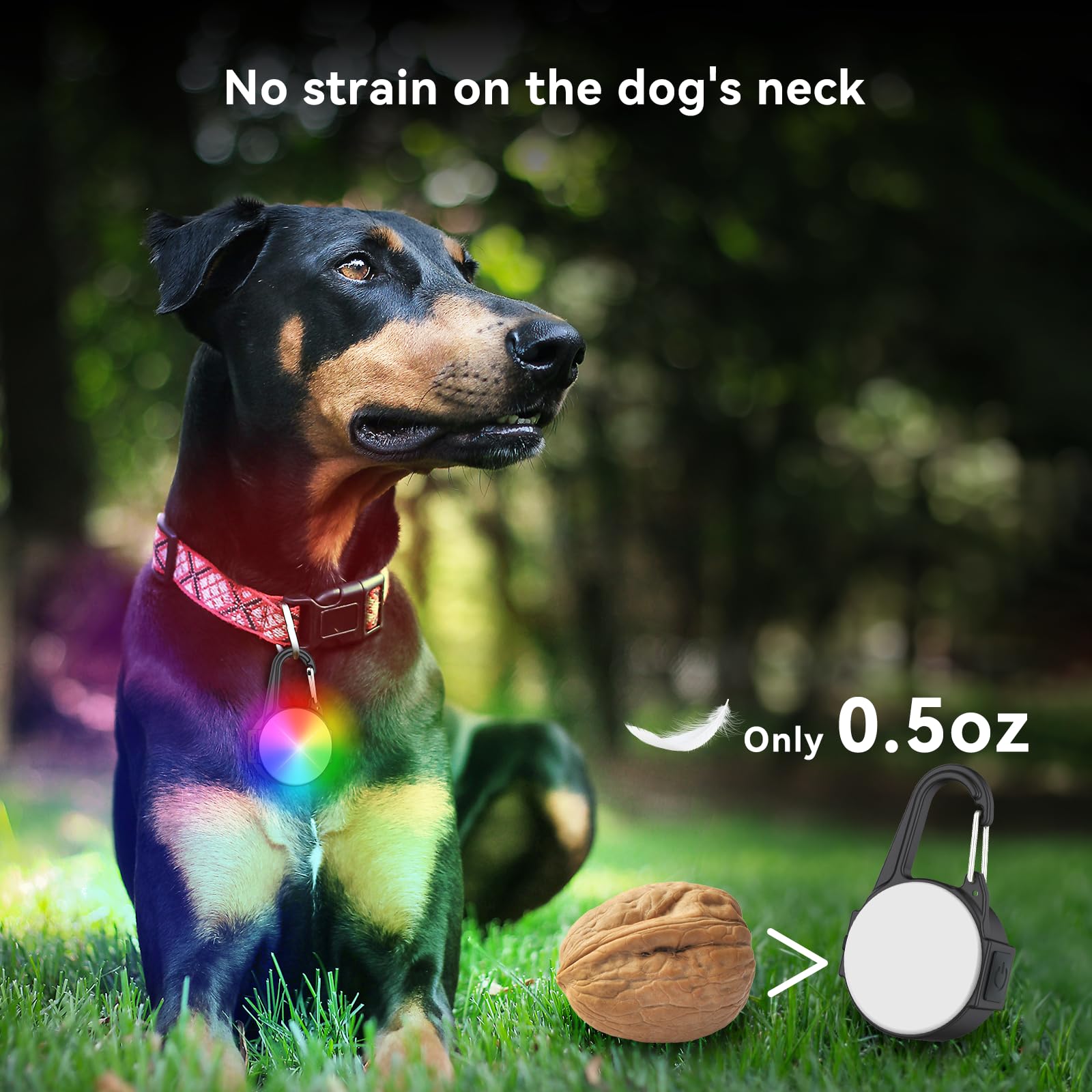 Myddomi dog lights drop-resistant ABS shell withstands play