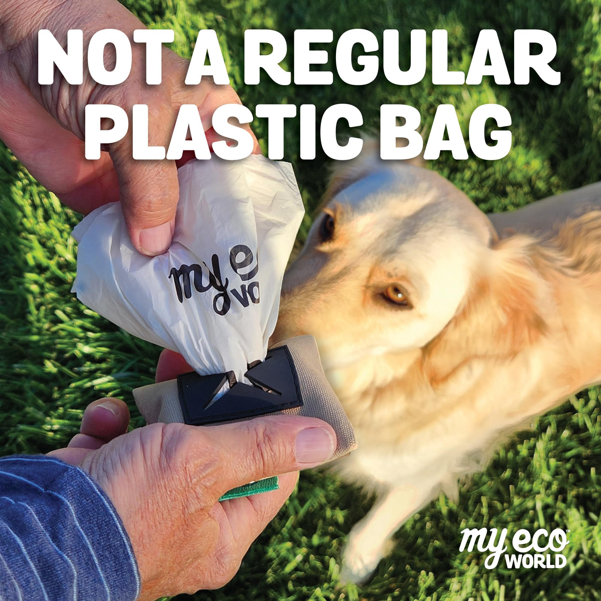 MyEcoWorld recycled cardboard packaging emphasizes sustainable, zero-waste packaging.