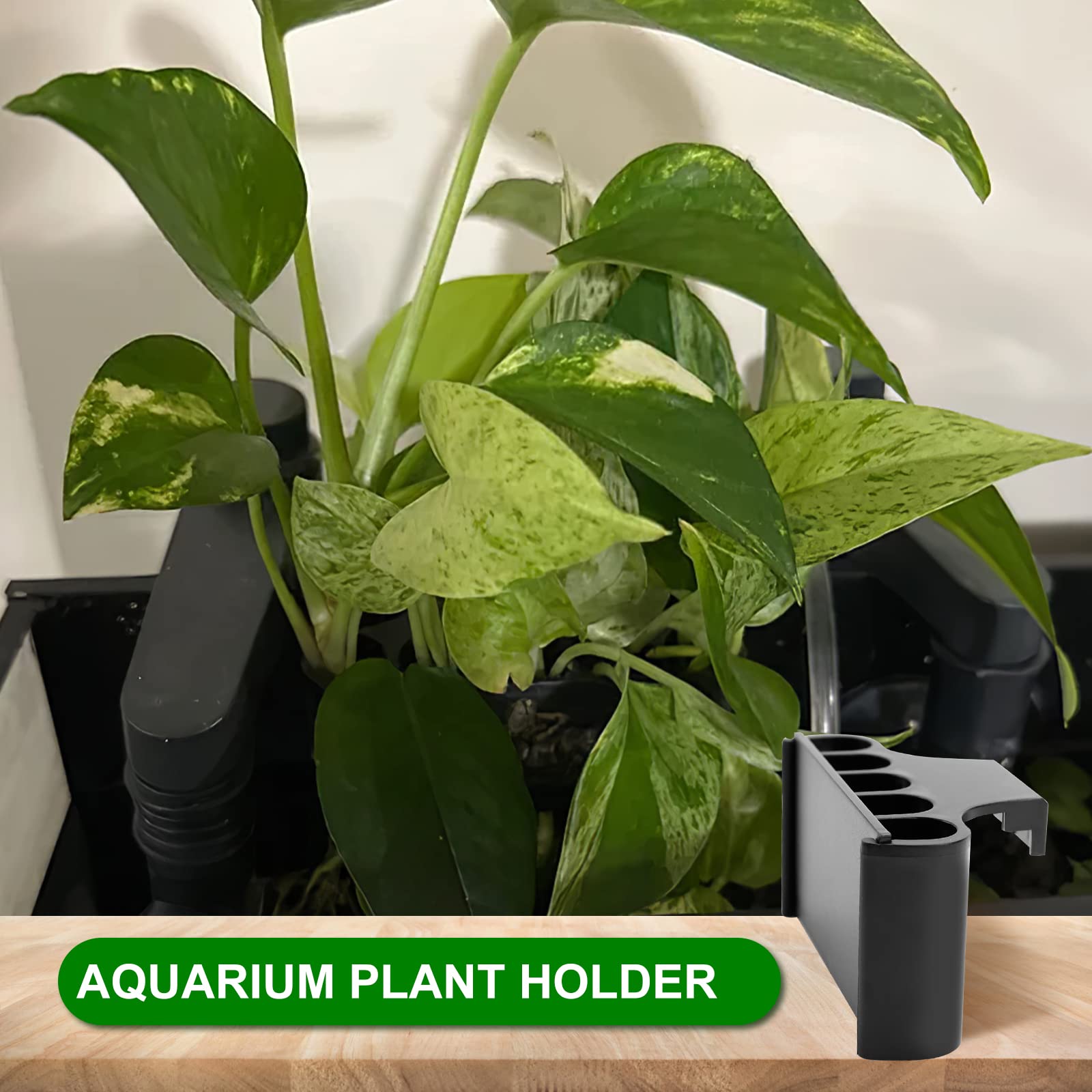 MyfatBOSS aquarium plant holder easy-install simplifies setup for busy hobbyists.