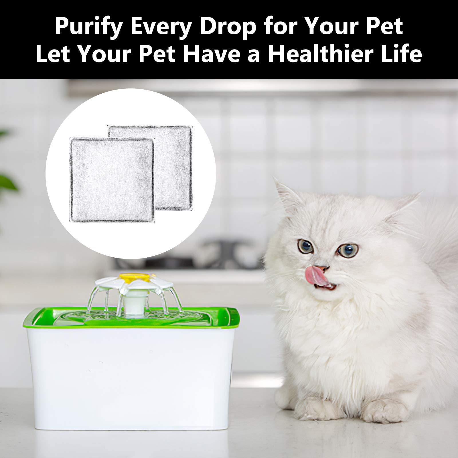 MyfatBOSS 12-pack packaging emphasizes bulk value and easy stocking.
