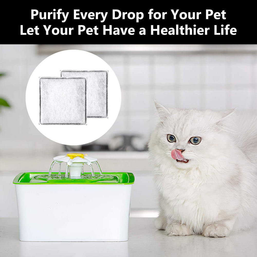 MyfatBOSS 12-pack packaging emphasizes bulk value and easy stocking.