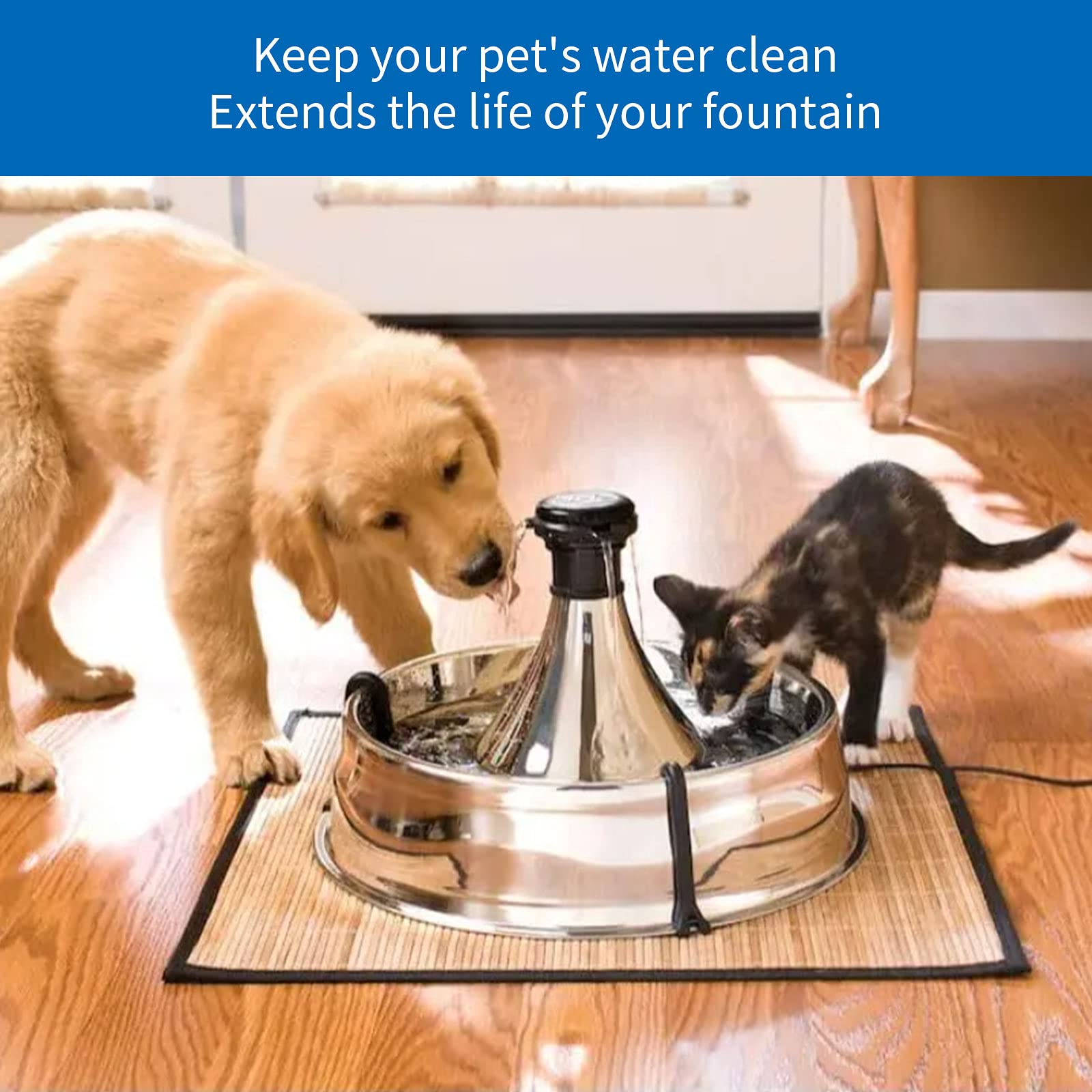 MyfatBOSS pet fountain water-quality upgrade promotes better hydration.