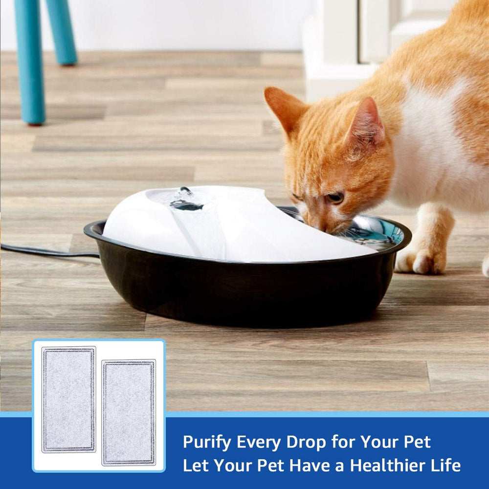 MyfatBOSS pet water filter in use improving fountain cleanliness.