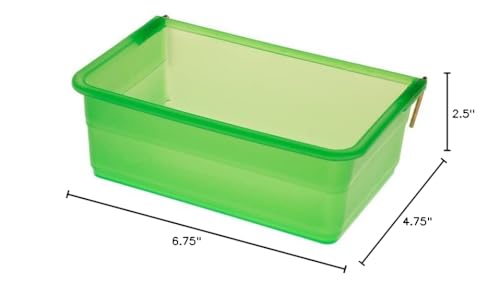 My Favorite Chicken chicken cage cup 27oz durable-green green: built to withstand seasons and busy coops.