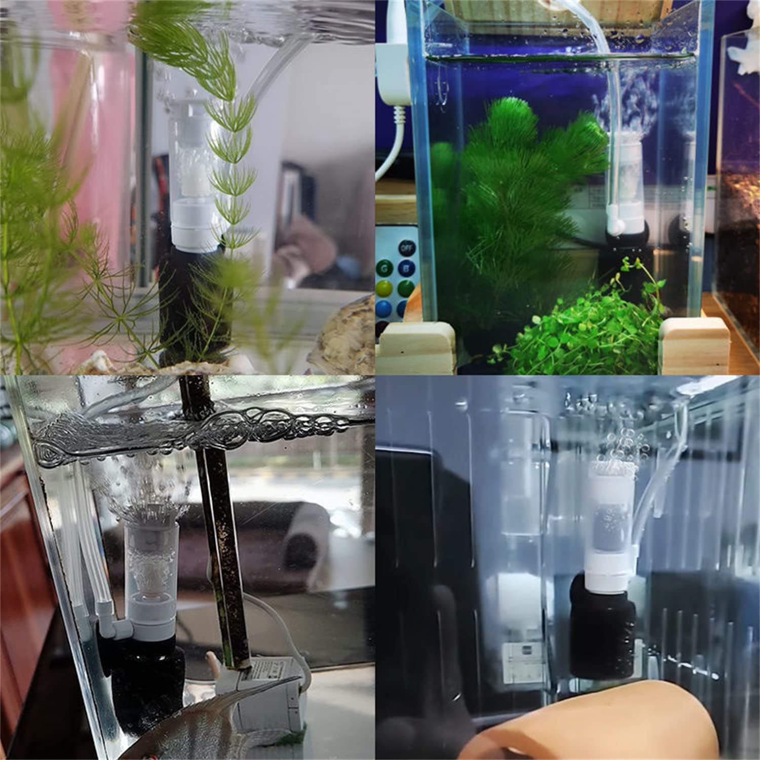 myfole mini aquarium filter air pump connection shows simple setup and reliable airflow