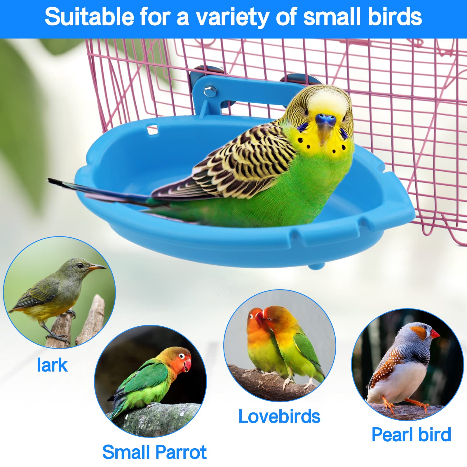 Mygeromon bird bath blue bath tub for quick cleaning and filling.