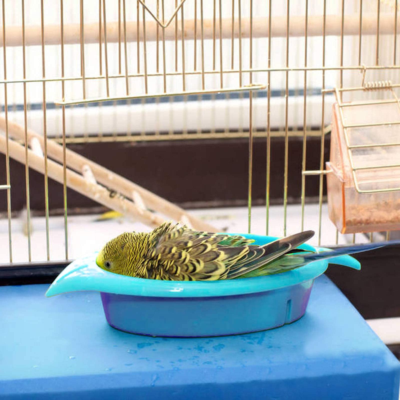 Mygeromon bird bath blue leaf design complements cages and encourages baths.