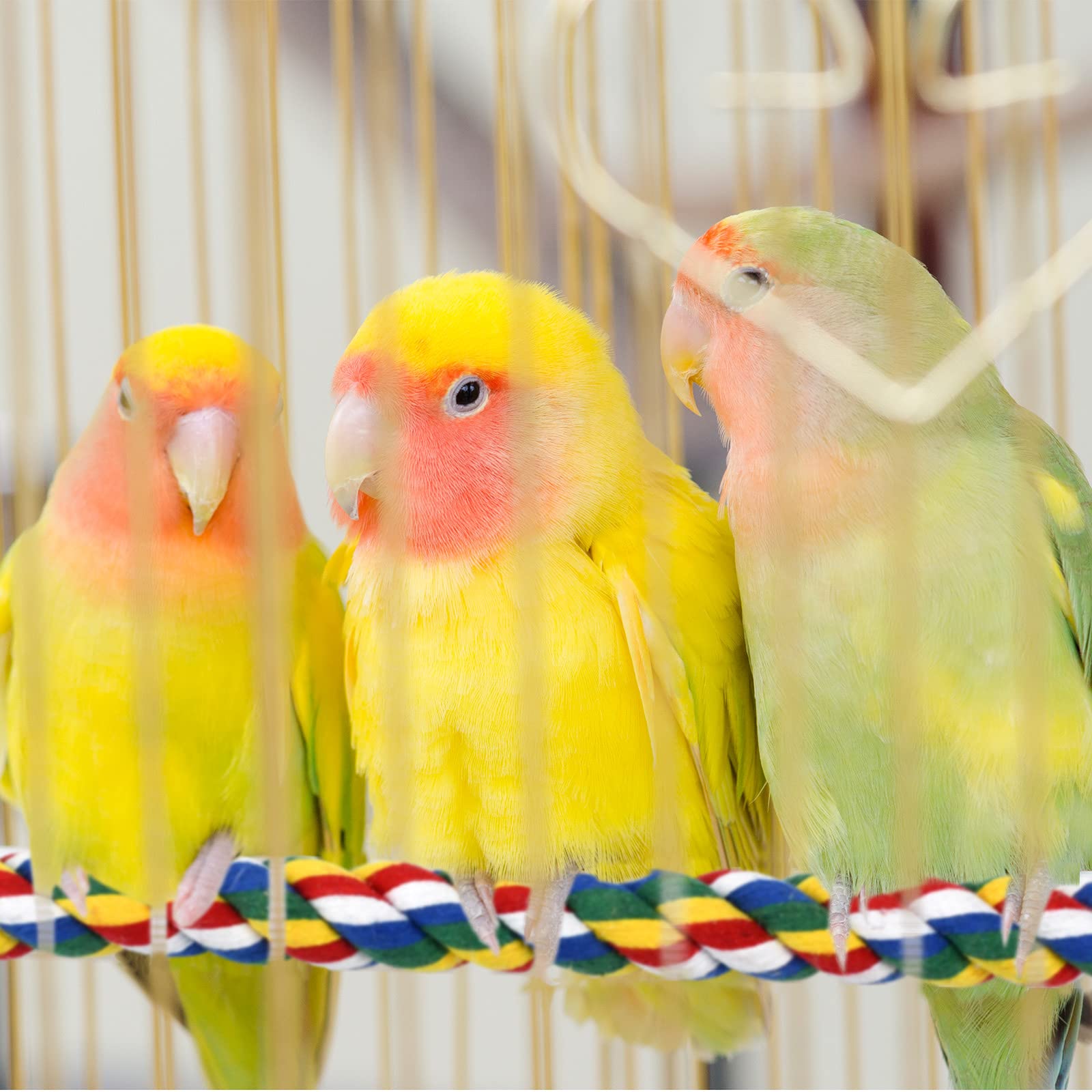 Mygeromon bird rope perch colorful cotton threads offer engaging texture for parrots.